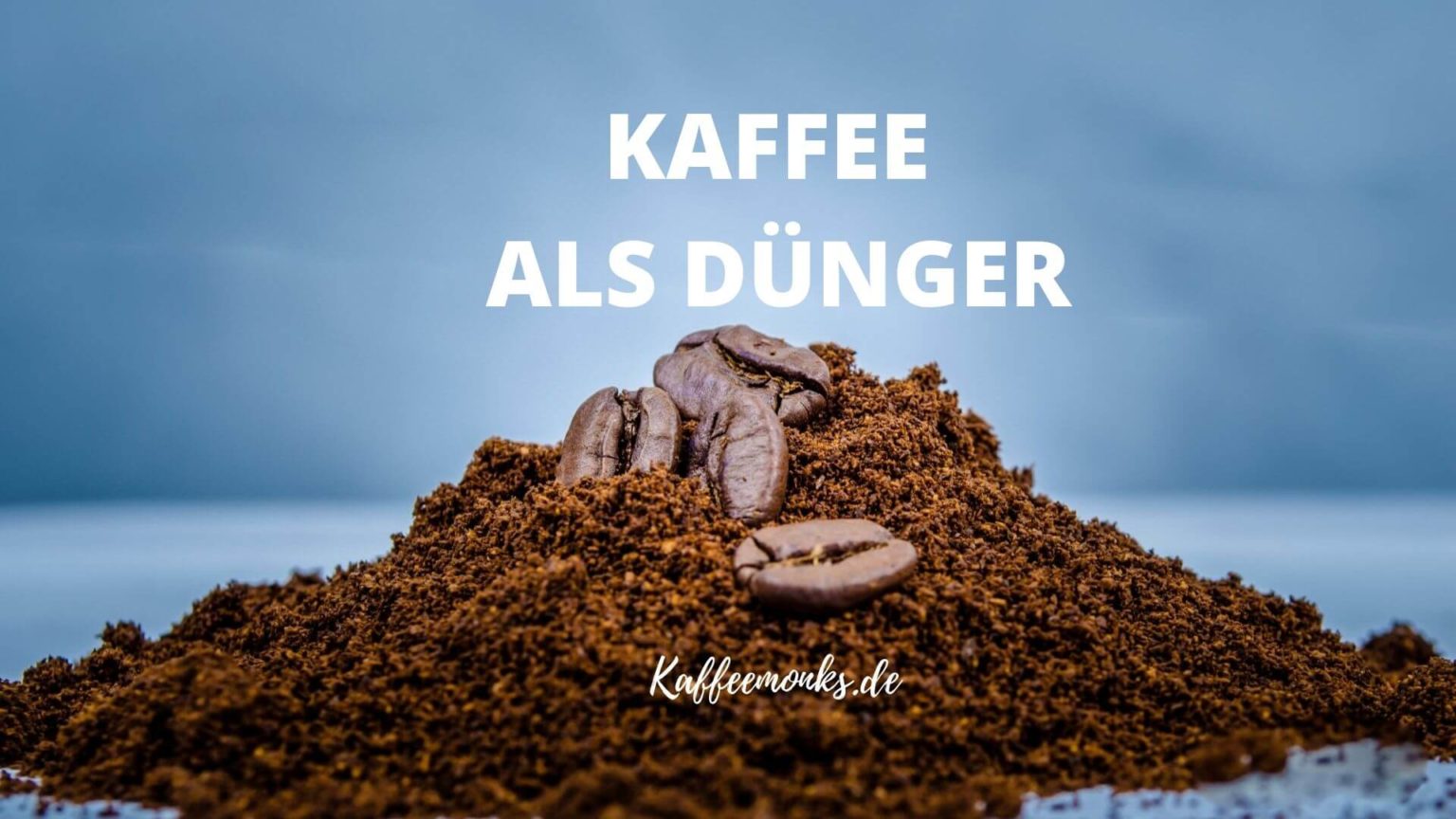 Kaffee als Dünger Alles Was Du Darüber Wissen solltest » Kaffeemonks