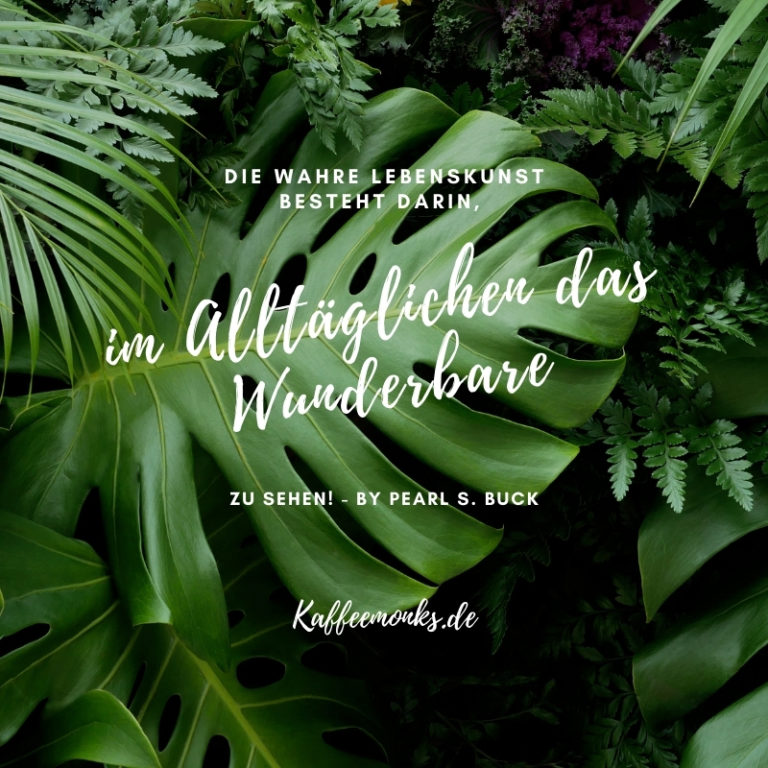 17 Achtsamkeit Sprüche Die Dich Ins Hier Und Jetzt Holen